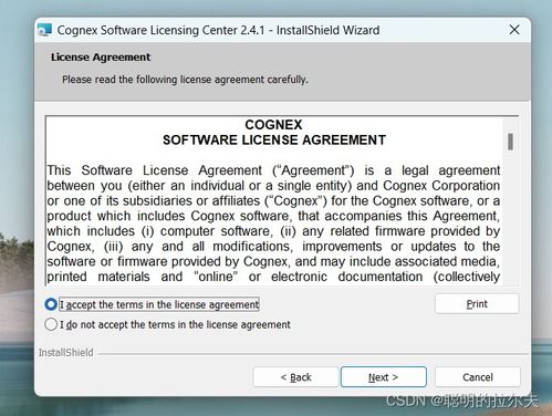 機器視覺基礎實踐 Vision Pro安裝與應用軟件服務指南